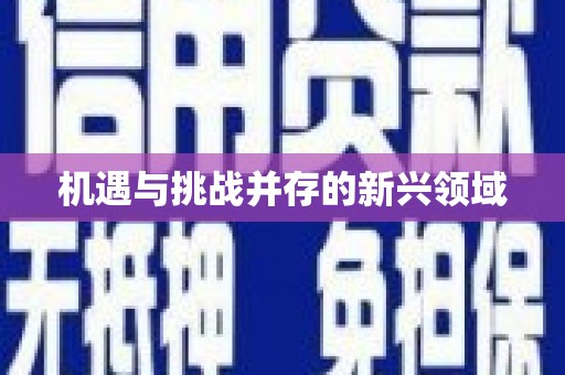 乌来机遇与挑战并存的新兴领域