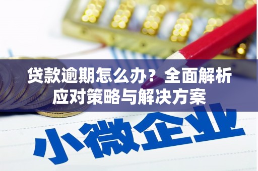 乌来贷款逾期怎么办？全面解析应对策略与解决方案
