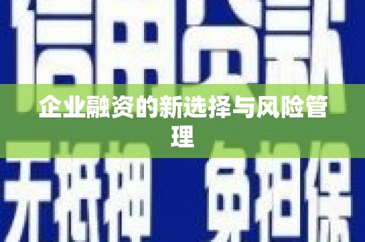 乌来企业融资的新选择与风险管理
