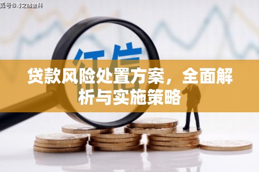乌来贷款风险处置方案，全面解析与实施策略