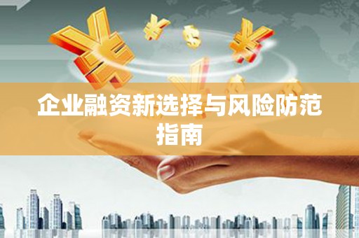 乌来企业融资新选择与风险防范指南