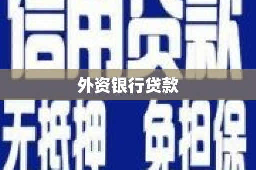 乌来外资银行贷款
