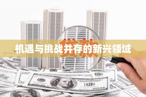 乌来机遇与挑战并存的新兴领域