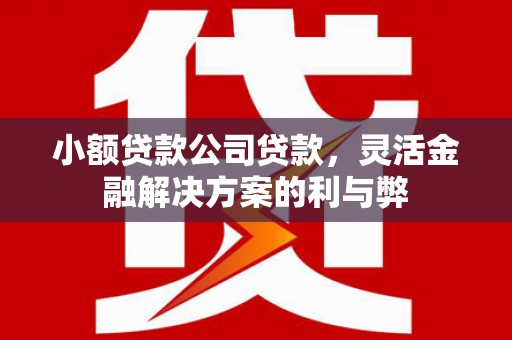 乌来小额贷款公司贷款，灵活金融解决方案的利与弊